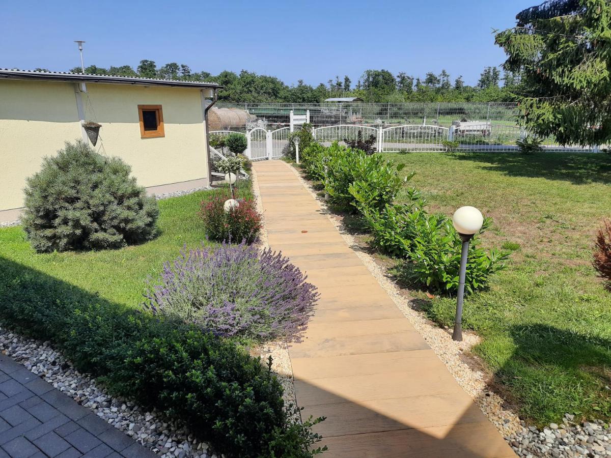 Ferienwohnung Am Schmollensee Pudagla Ngoại thất bức ảnh